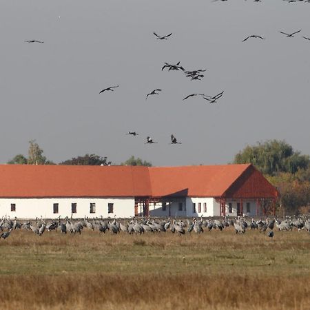 Balmazújváros Bibic Nature Lodge מראה חיצוני תמונה