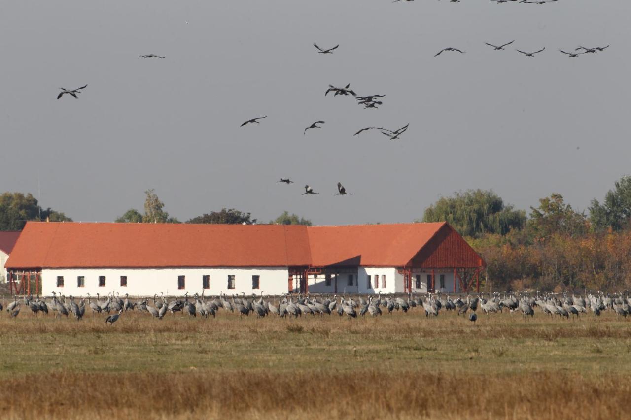 Balmazújváros Bibic Nature Lodge מראה חיצוני תמונה