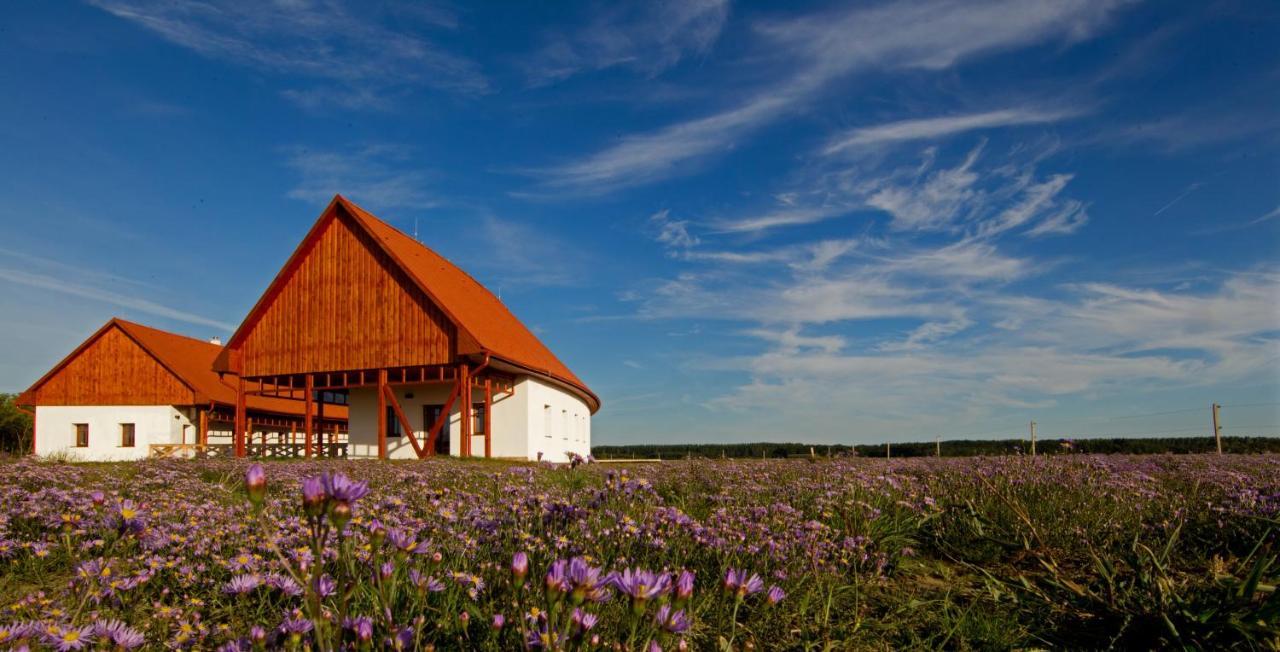 Balmazújváros Bibic Nature Lodge מראה חיצוני תמונה