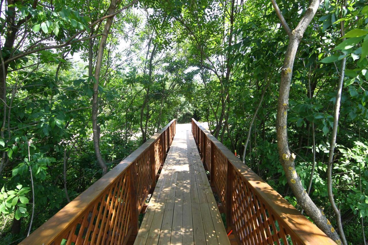 Balmazújváros Bibic Nature Lodge מראה חיצוני תמונה